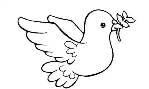 飞行鸽子儿童简笔画图片鸽子儿童绘画作品图集 鸽子简笔画