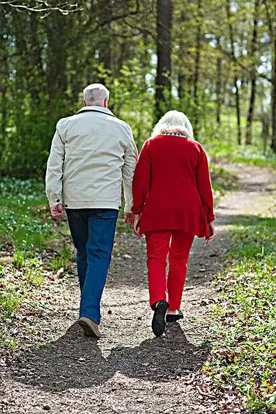 老人牵手背影_老人牵手背影图片