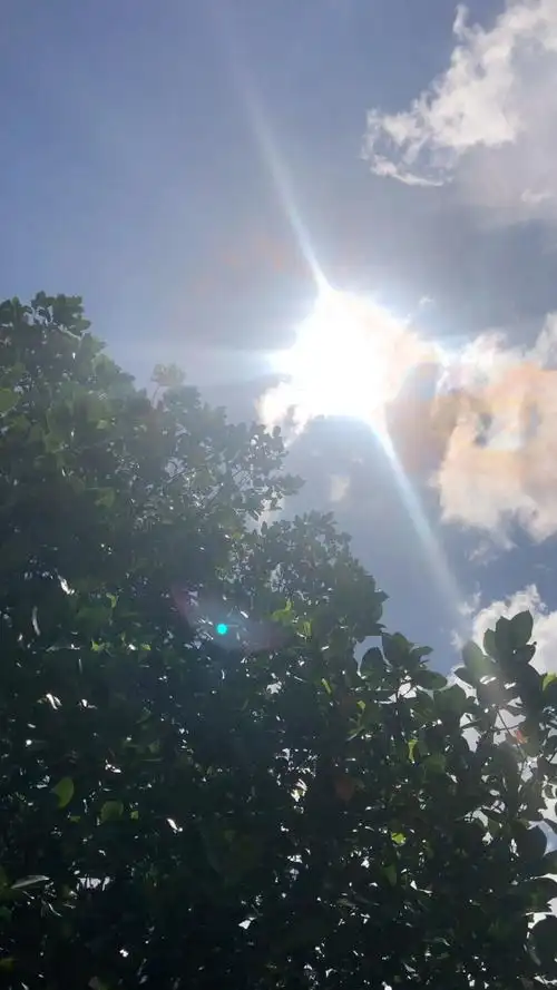 火辣辣的太阳像个大火球97热得让人无处躲闪,感觉晒爆了皮,随时都要