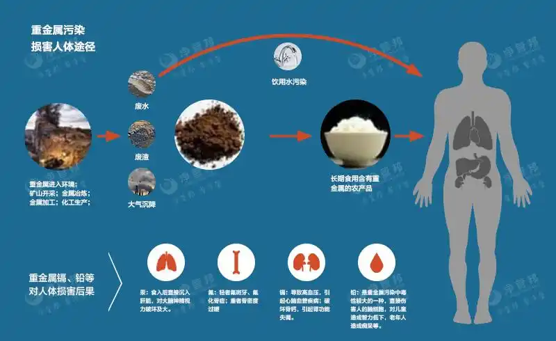 什么是重金属超标,重金属对人体有什么危害?
