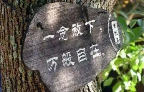 学会放下是一种智慧一种境界一种顿悟