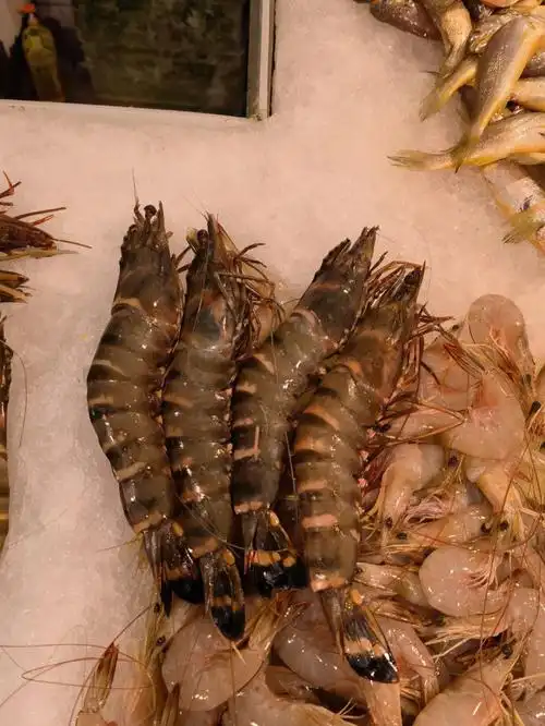 野生黑虎虾个头非常大四只差不多一斤重