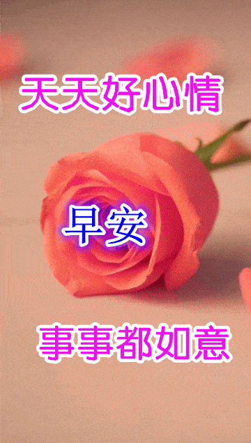 早安对女朋友暖心的话我爱你早上好图片大全