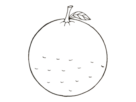 卡通橙子种子简笔画