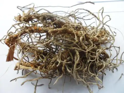 中草药蜈蚣须山蜈蚣入地蜈蚣