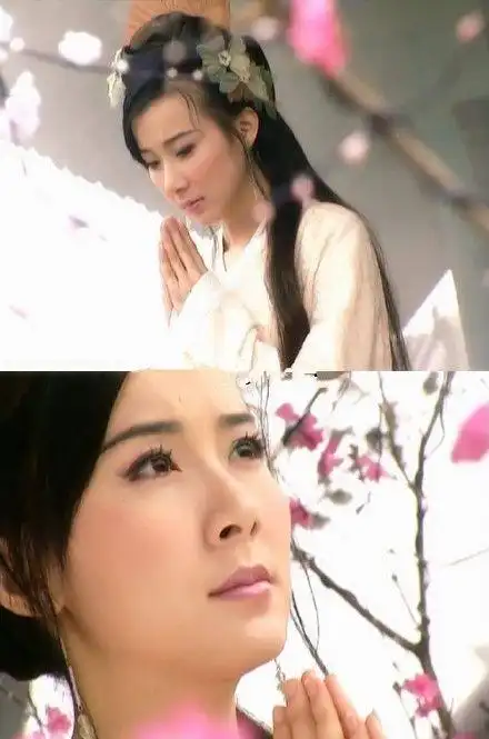 《小李飞刀》【林诗音/莫兰】林诗音是李寻.