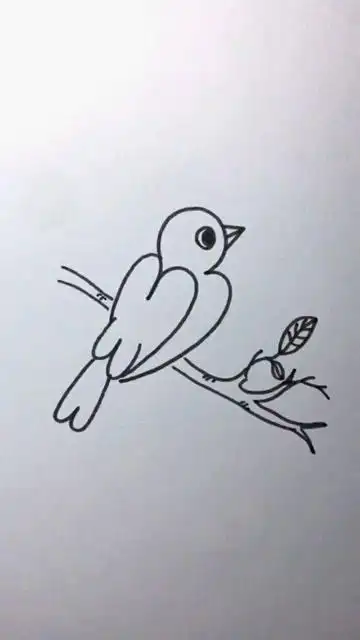 用4个3画小鸟,画完之后非常真实