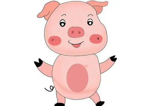 十二生肖猪出生日期表 十二生肖属猪出生的年份表
