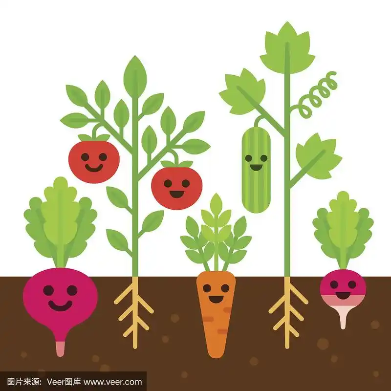 可爱的菜园插画