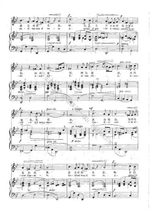 《阿玛丽莉 钢琴伴奏谱》吉他谱