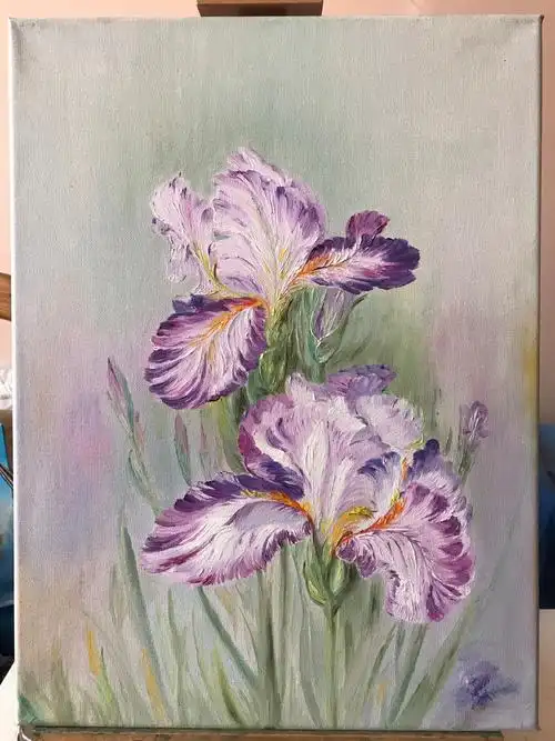 油画鸢尾花3040cm