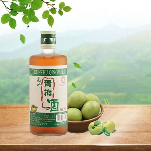 客家特产昆竹青梅酒昆竹青梅酒惠州客家特产酸梅杨梅酒低度女士果酒单