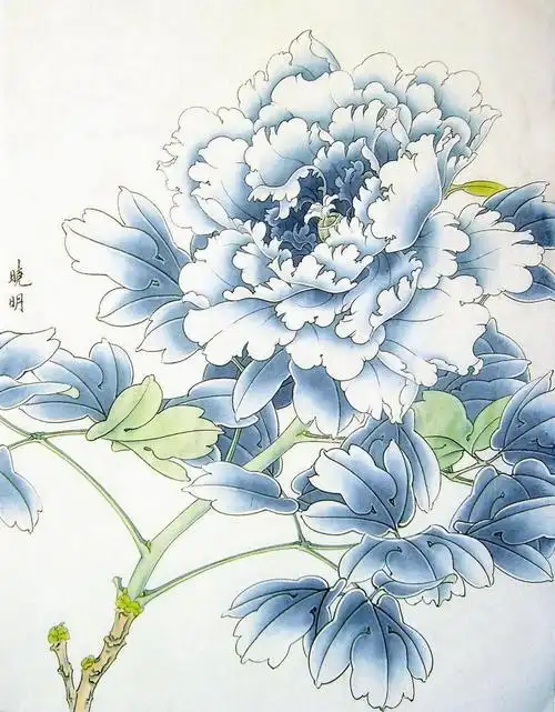 李晓明的工笔画工笔画教程系列之2工笔牡丹的画法