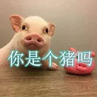 你是个猪吗搞笑图片_微信头像图片大全