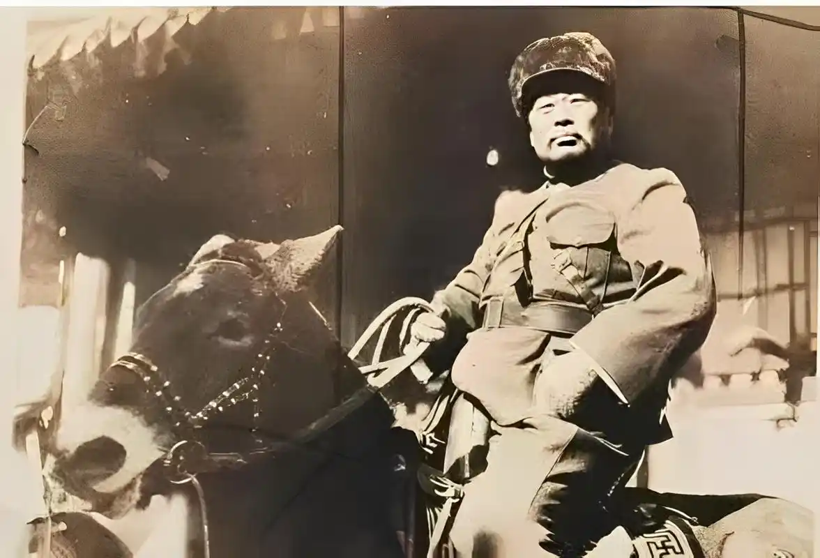 汤玉麟以喜爱老虎而闻名.他自己的书名叫二虎.他和张作霖是兄弟.