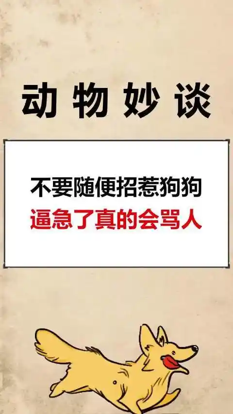 不要轻易招惹狗狗