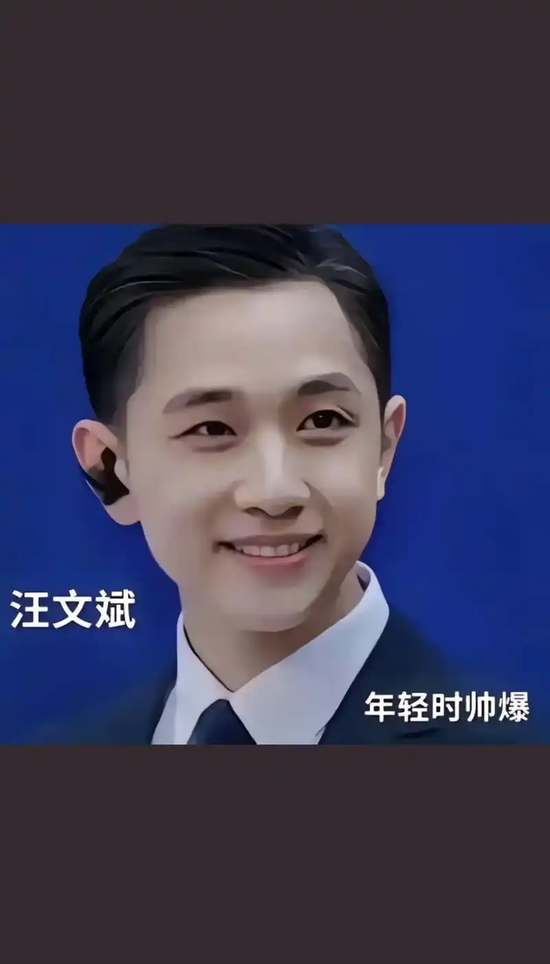 汪文斌-中国9899外交官 陌上人如玉,公子世无双 翩翩少年,谦谦