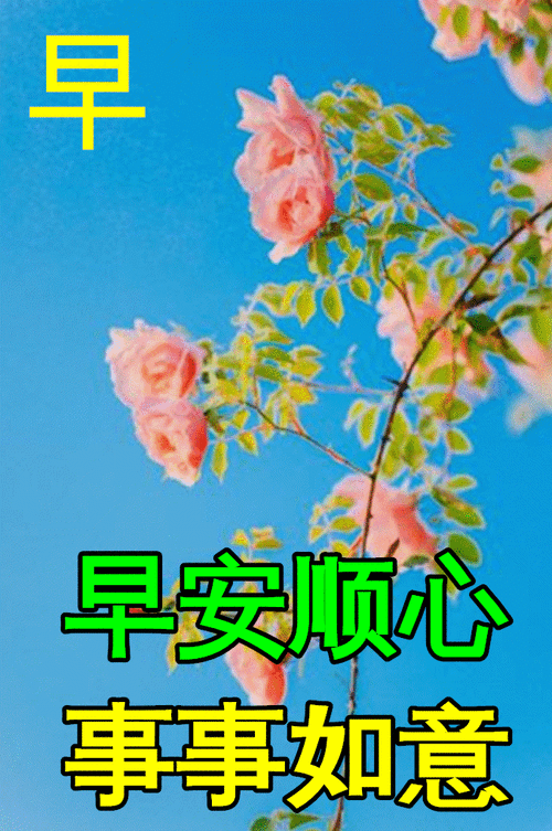 最新早安图片 ,早晨问声好,天天都美好