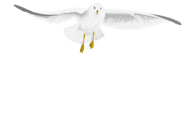 叮咚旌城最美鸟儿在这儿全民摄影大赛获奖名单火热出炉