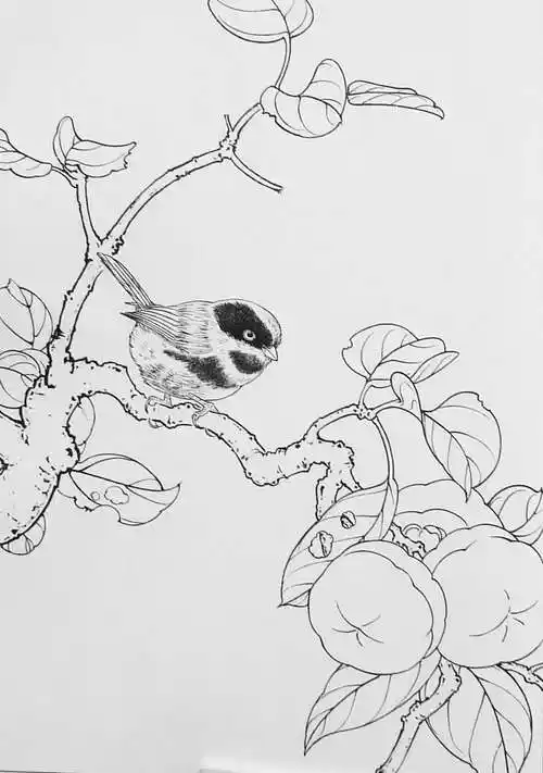 《工笔画线描花鸟画谱(山雀)》