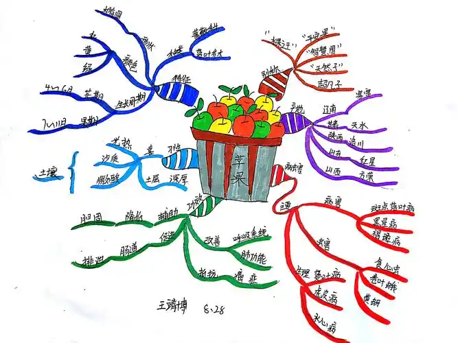 同心同舵王靖博第八季思维导图武林计no5600苹果03