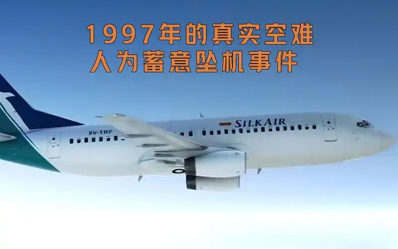 真实空难胜安航空185航班被人为蓄意坠机