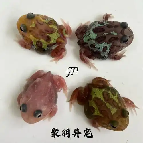 变异角蛙基因——色素缺失