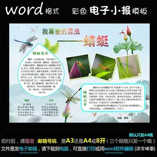 蜻蜓为什么点水做手抄报什么叫手抄报