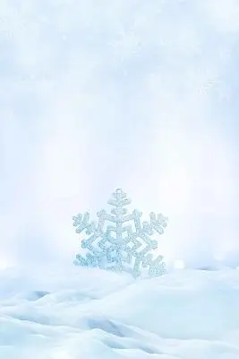 大雪花背景