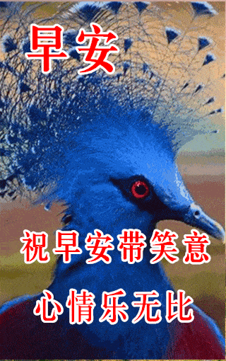 10月30日最漂亮早上好动态表情图片大全早晨好动图美图大全