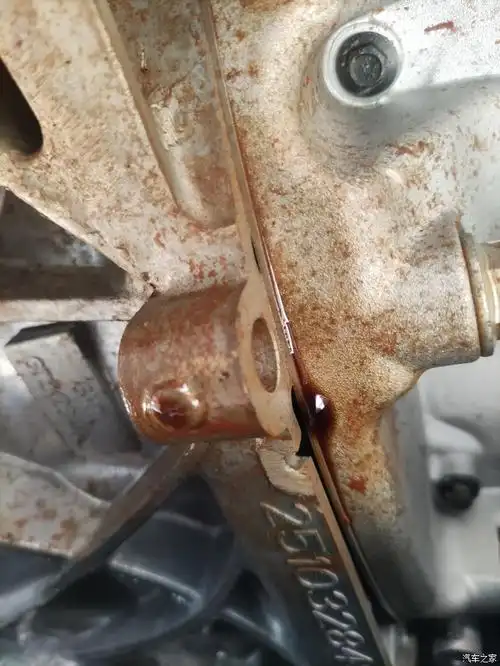 看到论坛说曲轴油封漏油现象