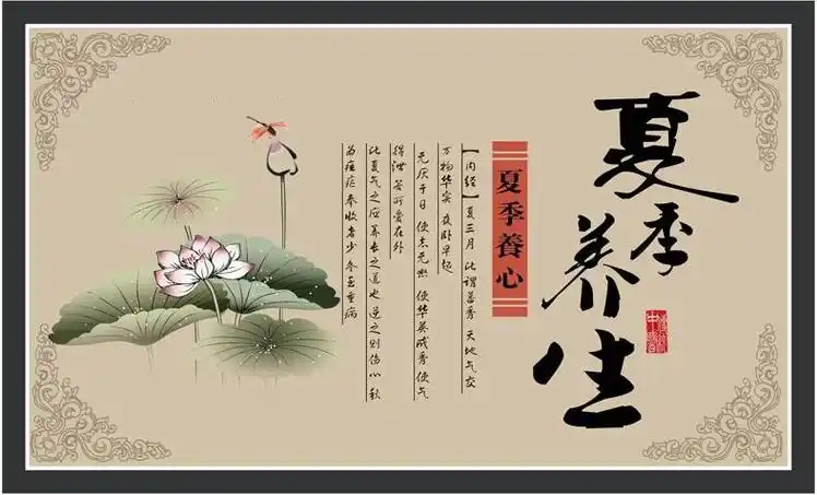 夏季如何养生,让身体更健康(夏季养生)-52线报网