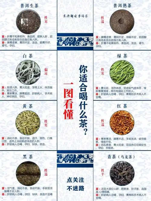 茶知识|一图看懂你应该喝什么茶?