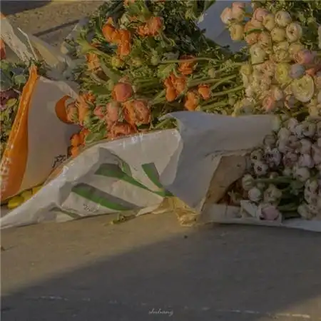 超级温柔又好看的日落背景图片