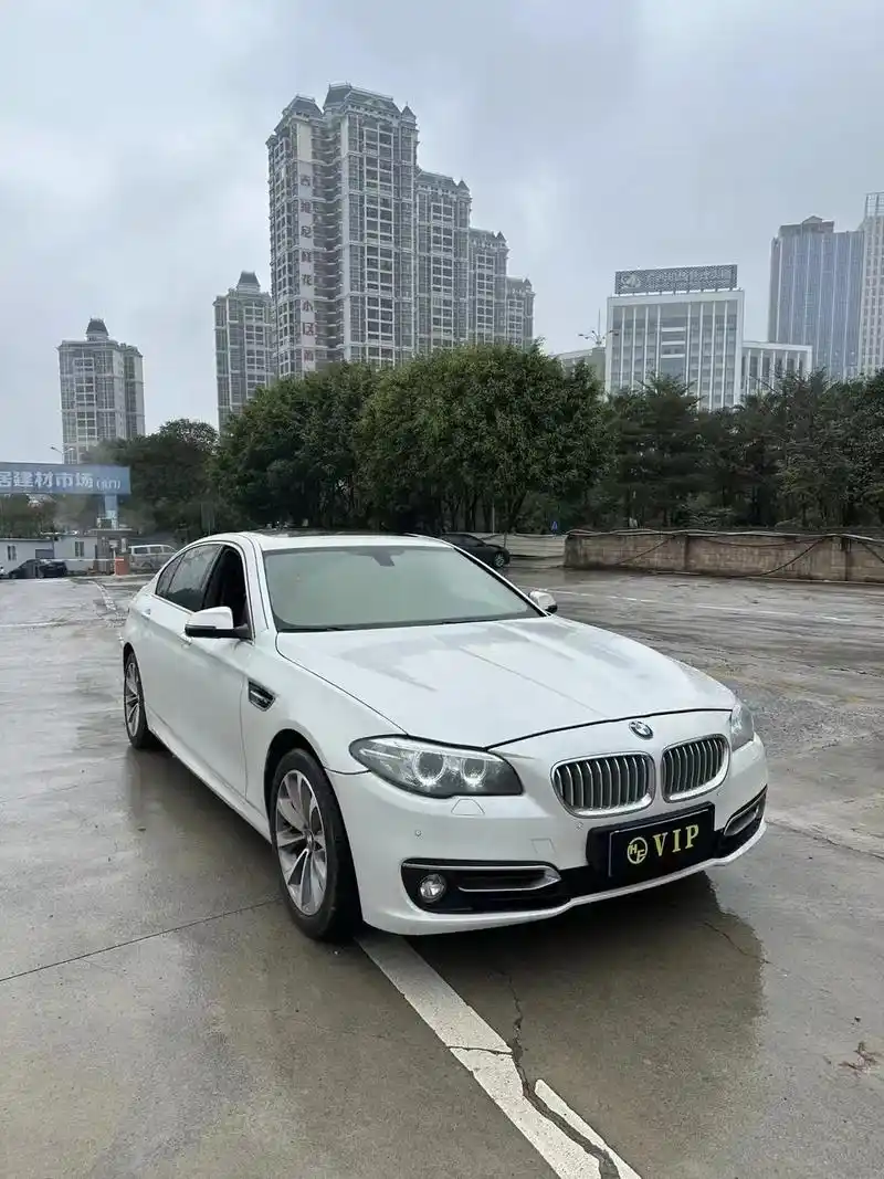 热门 #宝马 #宝马5系 [烟花]最新到店 14款  14 - 抖音