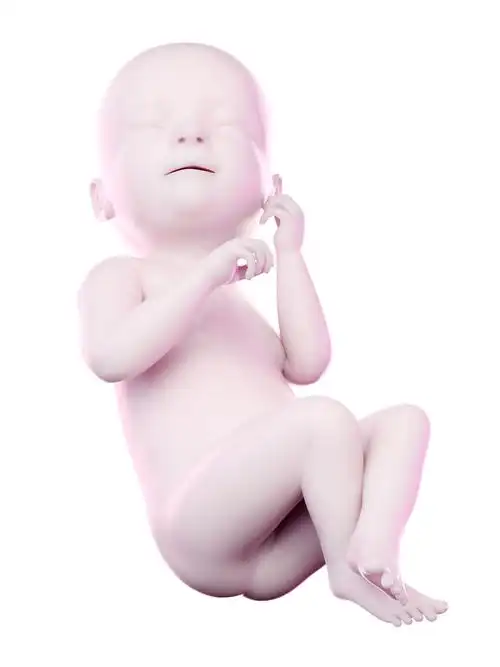 抓住胎教关键期宝宝轻松养成好习惯