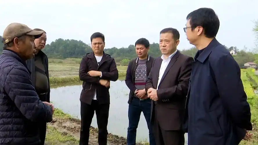 江志晖督导观音寺镇,理公港镇粮食生产工作_时政要闻_政务动态_桃源县