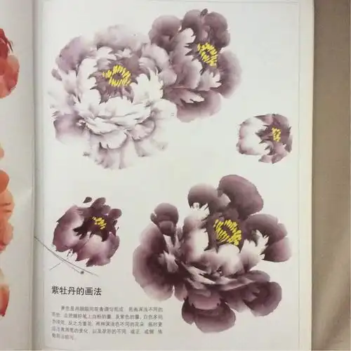 王绣写意牡丹画法