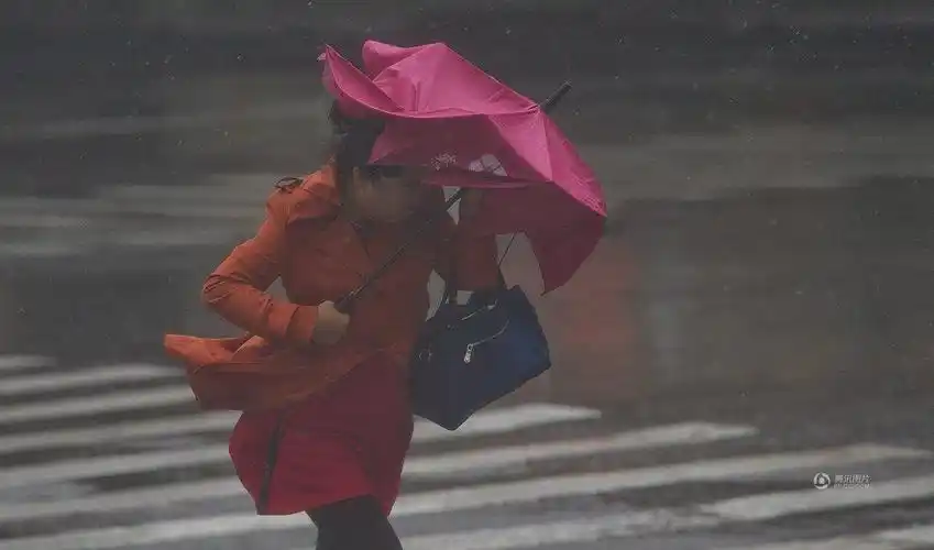 沈阳遭狂风暴雨袭击 最大风力达9级