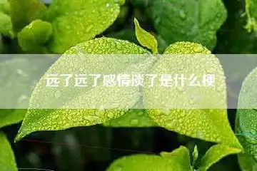 远了远了感情淡了是什么梗