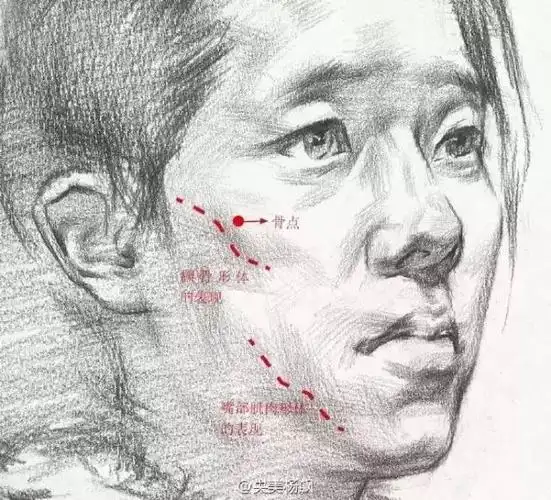 【干货】素描头像的面部结构与头发的表达你会吗?