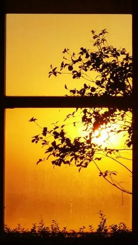 窗外夕阳