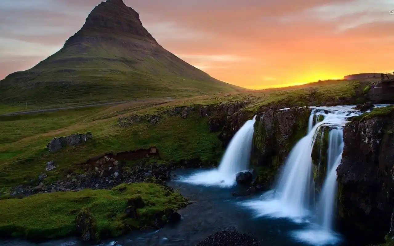 > 唯美清新护眼高清植物桌面壁纸(1920x1080)