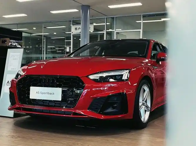 各位公主请看德国纯正血统|探戈红奥迪a5