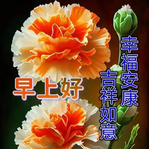 早上好祝福图片带字带问候语