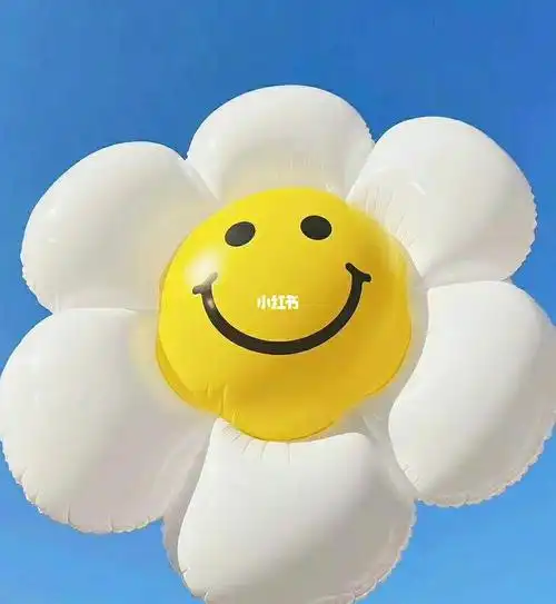 可可爱爱的太阳花