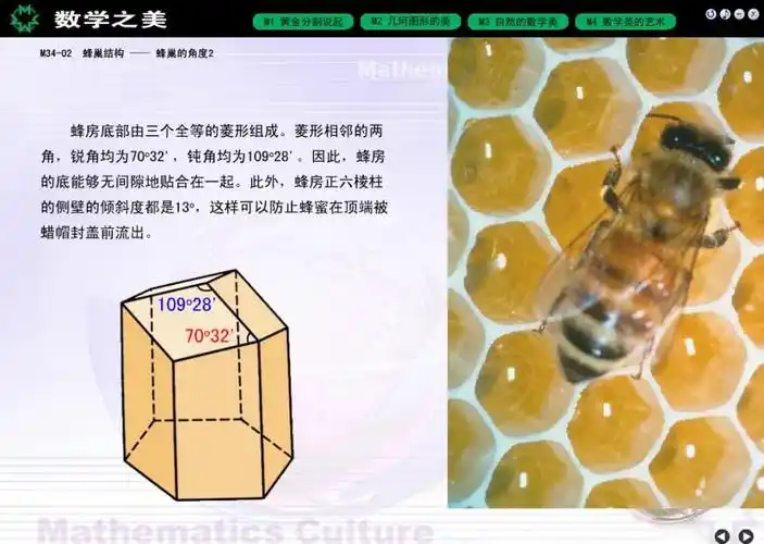 这种蜂巢结构够数学