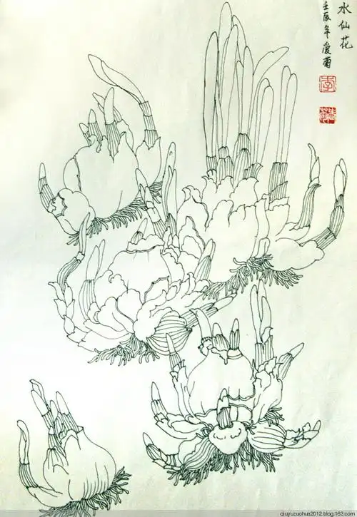 【转载】《钢笔白描画》 - 林的日志 - 网易博客