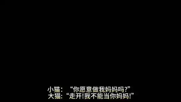 寻找猫妈妈的小流浪猫 流浪猫救助 捡了个猫 猫咪 弱小可怜又无助