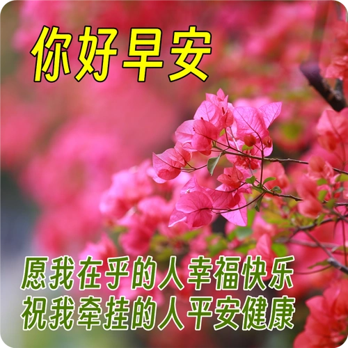 朋友圈清晨问候大家早上好阳光暖心句子最漂亮早上好美图表情